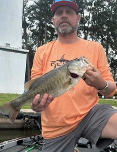 Largemouth bass caught on fishing trip in Madisonville