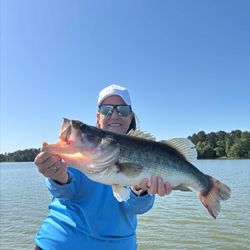 Largemouth Bass caught by angler in Madisonville