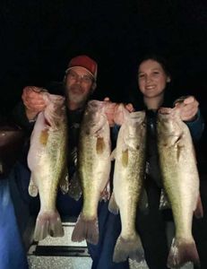 4 largemouth bass caught while fishing in Madisonville