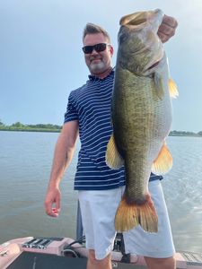 A largemouth bass caught in TX