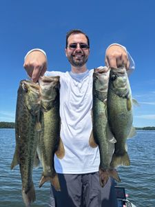 Angler displaying multiple bass caught fishing in Willis TX