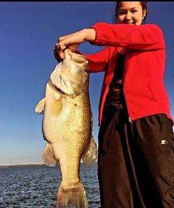 Texas bass fishing, where every cast counts