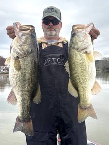 Two largemouth bass in a fishing scene from TX