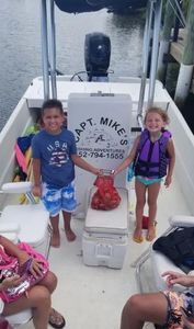 Child-Friendly Scalloping in Crystal River