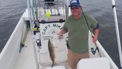 Redfish in Crystal River, FL