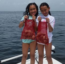 Best Scalloping in Crystal River, FL