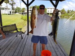 Redfish and a Snook combo in Crystal River, FL!