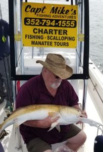 Crystal River, FL Fishing for Redfish