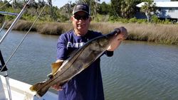 Angler fishing in Crystal River