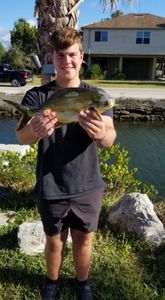 Permit fish caught in FL