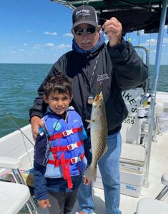 Spotted weakfish, 16-inch catch, fishing in FL