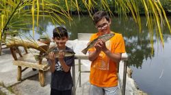 Two anglers fishing in Crystal River