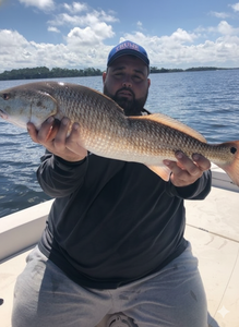 Redfish caught while fishing in FL