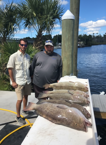 Three fish caught while fishing in Florida
