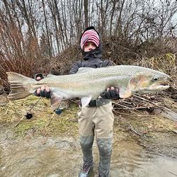 New York Fishing: Fishing Steelhead