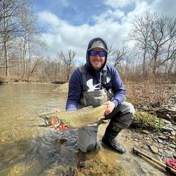 Capturing Moments on Buffalo Waters