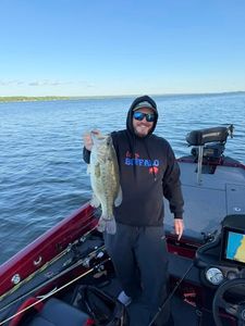 Bass fishing catch displayed on boat in North Tonawanda NY waters
