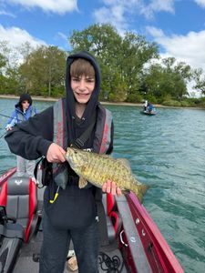 Smallmouth bass catch during fishing trip on boat in North Tonawanda NY