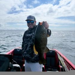 Freshly caught Suwannee Bass held on fishing boat in North Tonawanda NY waters