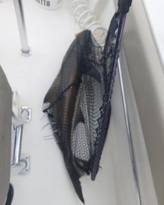 A fishing excursion in the waters of Virginia Beach