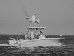 Best water sports action in Virginia Beach