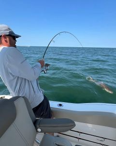 Person enjoying water sports in VA