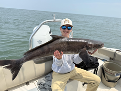 Reeled in a feisty Cobia with some expert deep sea tactics!