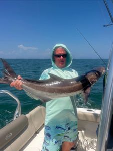 Cobia fish caught in VA during fishing or water sports activity