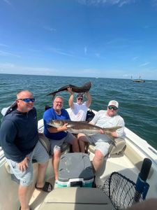 Cobia caught during fishing trip in Virginia Beach