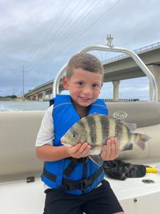 Sheepshead fish caught during water sports fishing in Virginia Beach