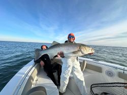 Striped bass caught while fishing in Virginia Beach
