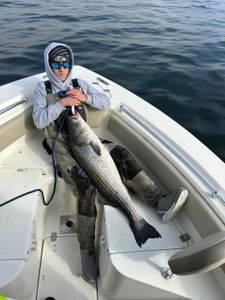 Striped bass caught fishing in Virginia Beach