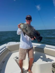 A tripletail fish caught in the water in VA
