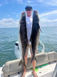 Two Cobia fish caught in VA, fishing and water sports