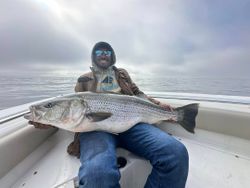 One person fishing in Virginia Beach