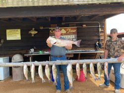 12 striped bass and white bass caught in OK