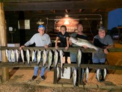 Striped bass caught in OK