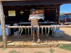 3 big fish caught while fishing in Kingston