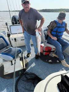 Fisherman with 1 fish in Kingston