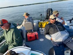 4 people fishing together in Kingston