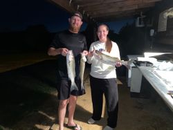 3 fishing in kingston