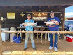 5 big fish caught while fishing in Kingston