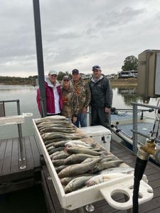 Four friends enjoying fishing in Kingston