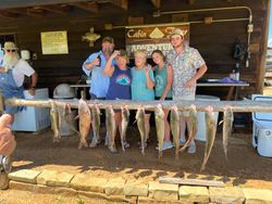 11 Striped Bass and Blue Catfish caught fishing in Kingston