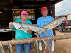 Two striped bass caught by two people in Kingston