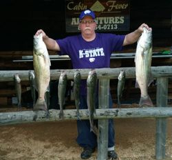 6 striped bass caught during fishing in Kingston