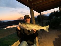 Striped Bass Caught in OK