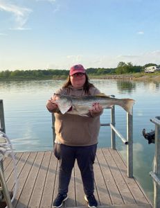 Striped bass fishing in Kingston