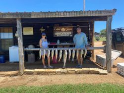 Striped bass caught in OK while fishing