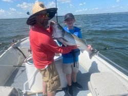 Striped bass fish caught while fishing in OK
